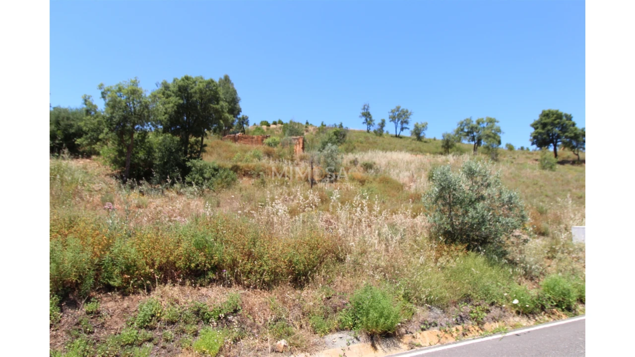 Terreno Misto para Venda em Alferce Foto 15