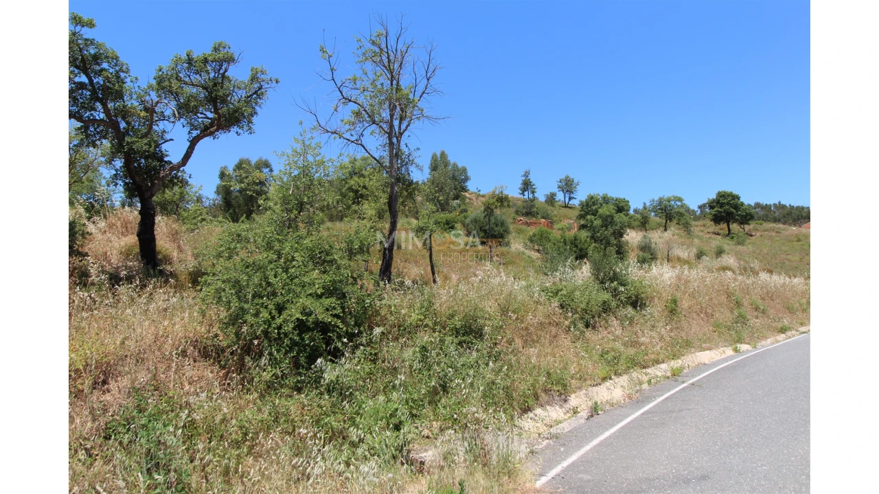 Terreno Misto para Venda em Alferce Foto 5