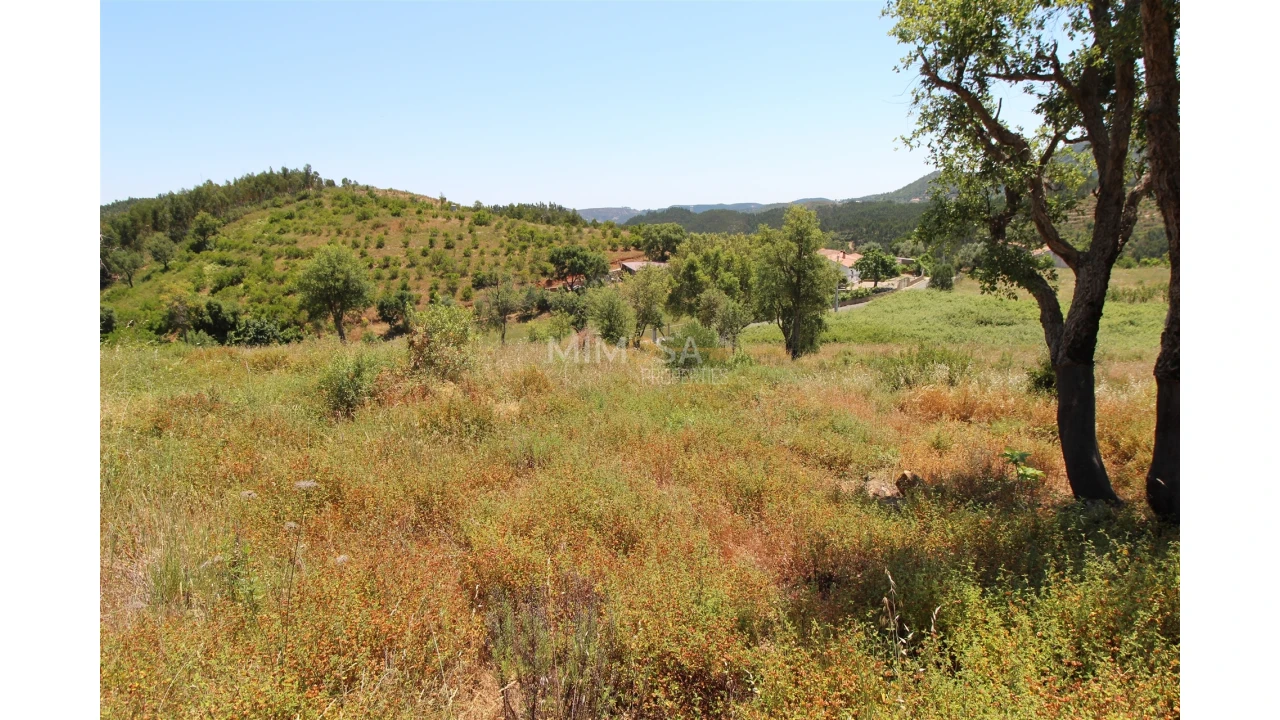 Terreno Misto para Venda em Alferce Foto 9