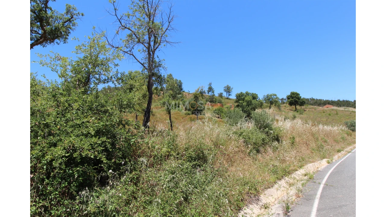 Terreno Misto para Venda em Alferce Foto 13