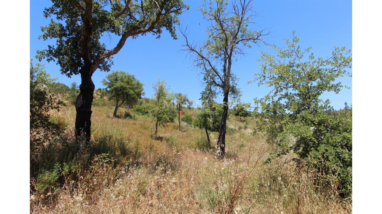 Terreno Misto para Venda em Alferce Foto 12