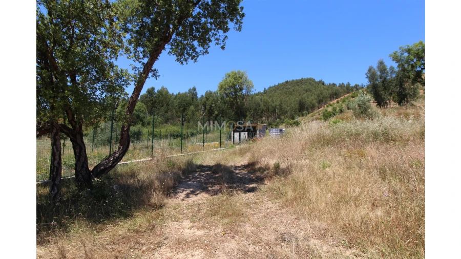 Terreno Misto para Venda em Alferce Foto 8