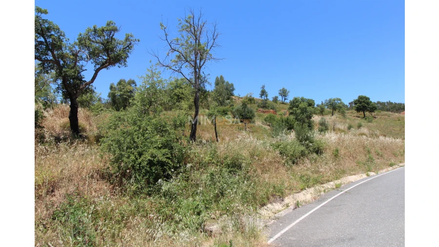 Terreno Misto para Venda em Alferce Foto 5