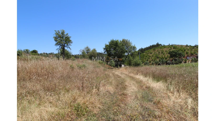Terreno Misto para Venda em Alferce Foto 11