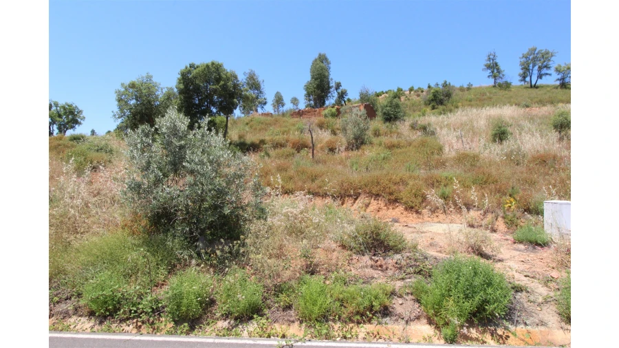 Terreno Misto para Venda em Alferce Foto 2