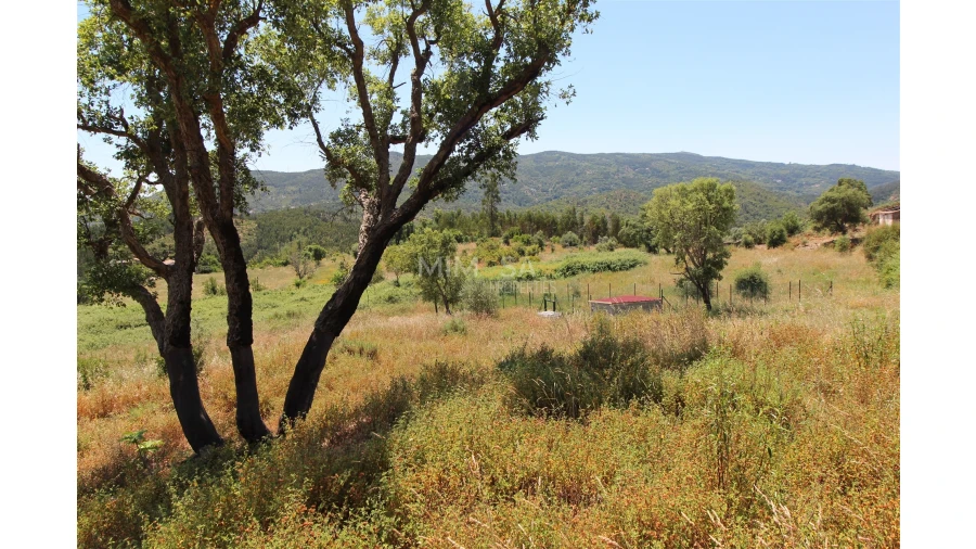 Terreno Misto para Venda em Alferce Foto 1