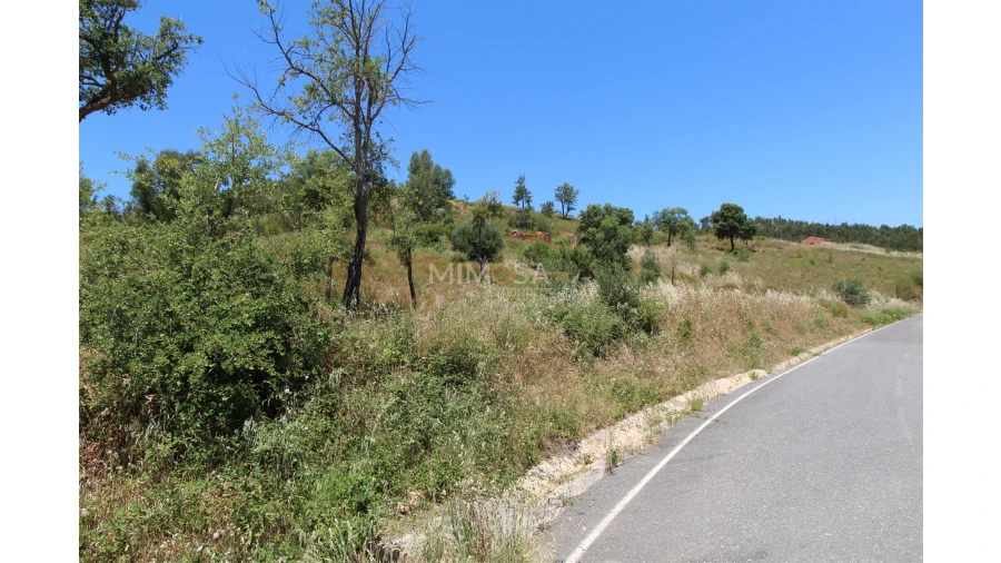 Terreno Misto para Venda em Alferce Foto 6