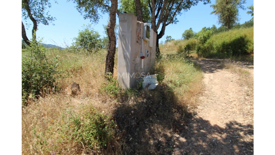 Terreno Misto para Venda em Alferce Foto 4