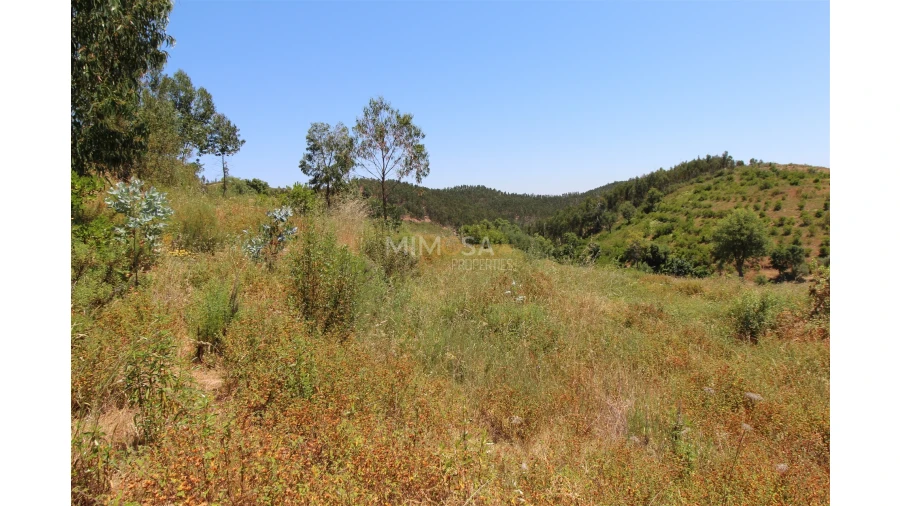 Terreno Misto para Venda em Alferce Foto 10