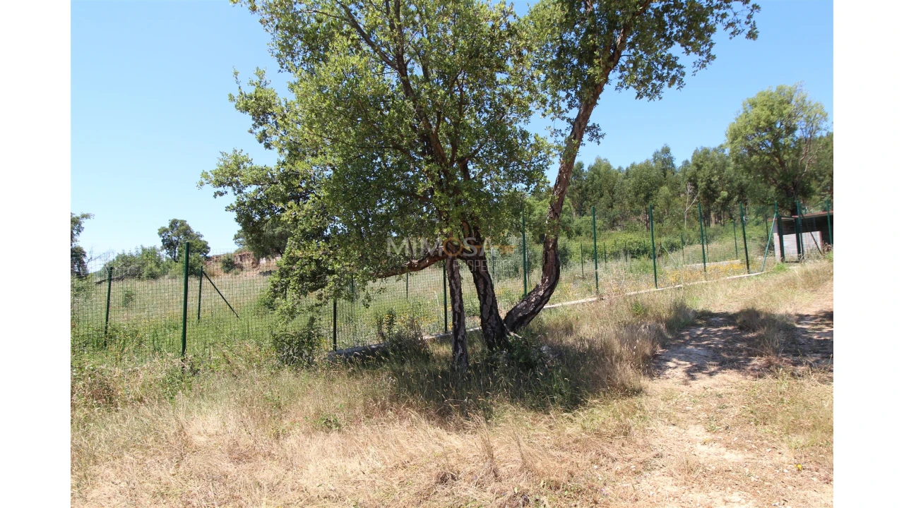 Terreno Misto para Venda em Alferce Foto 7