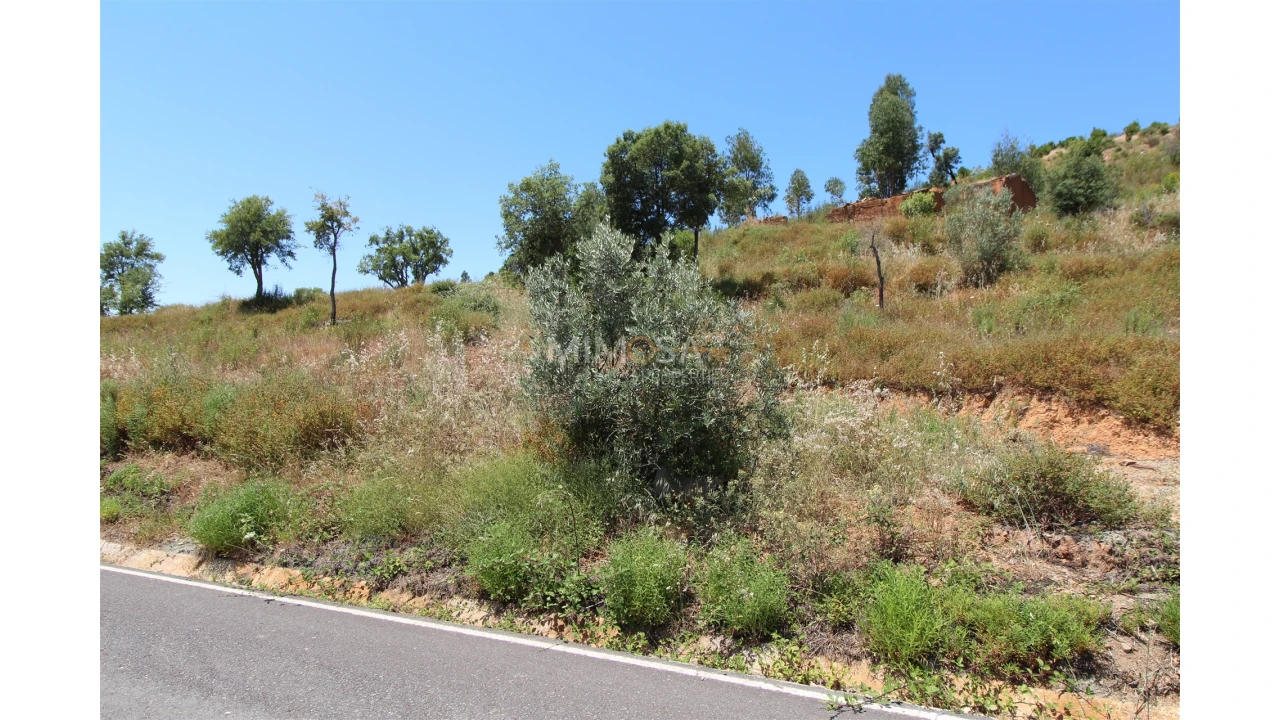 Terreno Misto para Venda em Alferce Foto 16