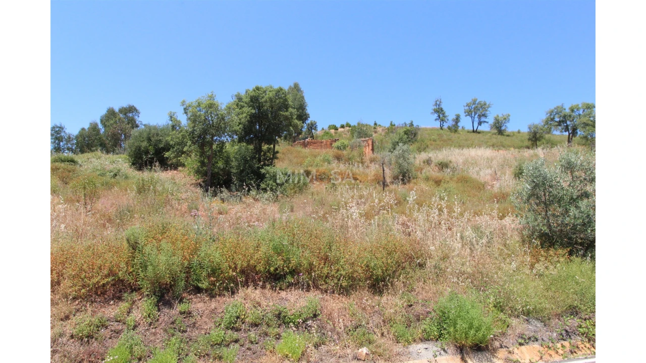 Terreno Misto para Venda em Alferce Foto 14