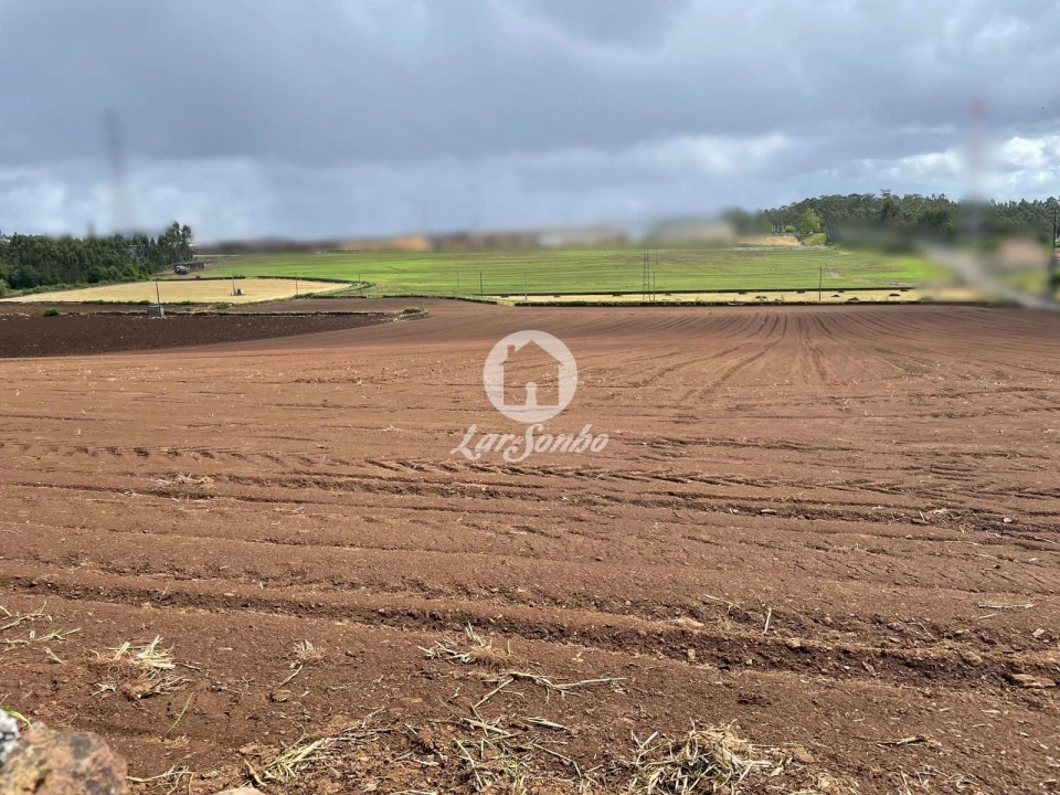 Terreno Agricola ou Rústico para Venda em Balazar Foto 1