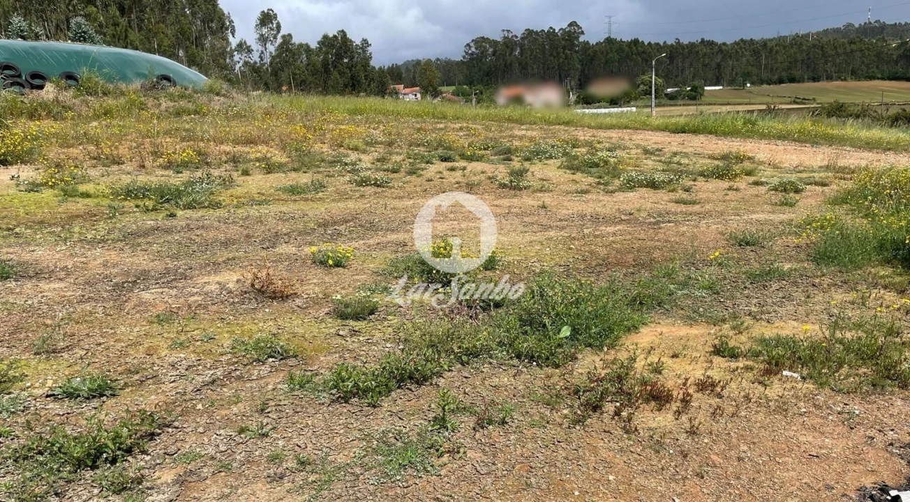 Terreno Agricola ou Rústico para Venda em Balazar Foto 2