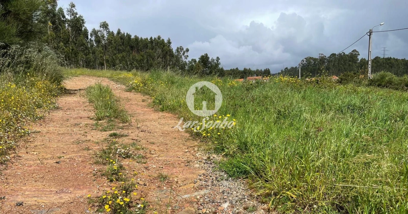 Terreno Agricola ou Rústico para Venda em Balazar Foto 4