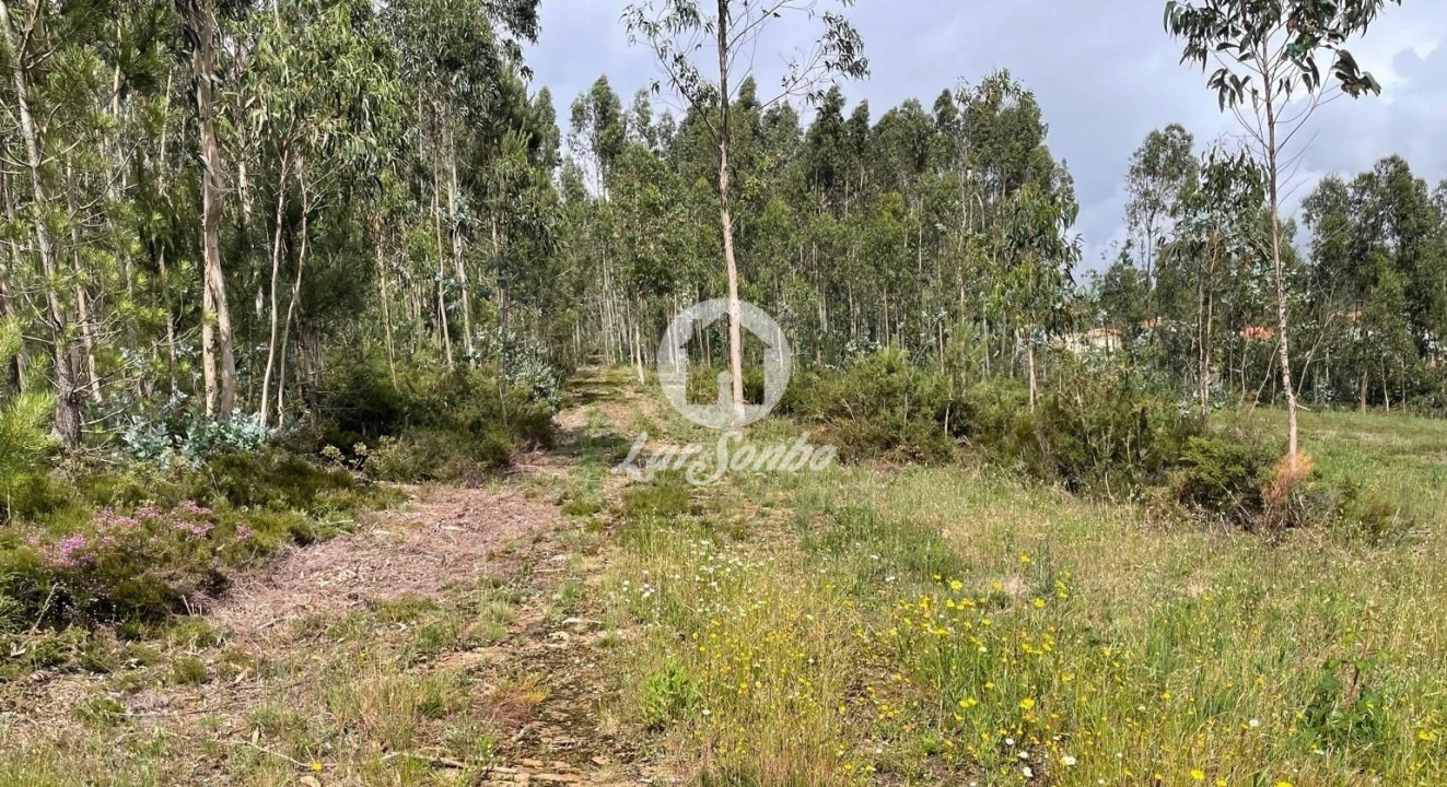 Terreno Agricola ou Rústico para Venda em Balazar Foto 5