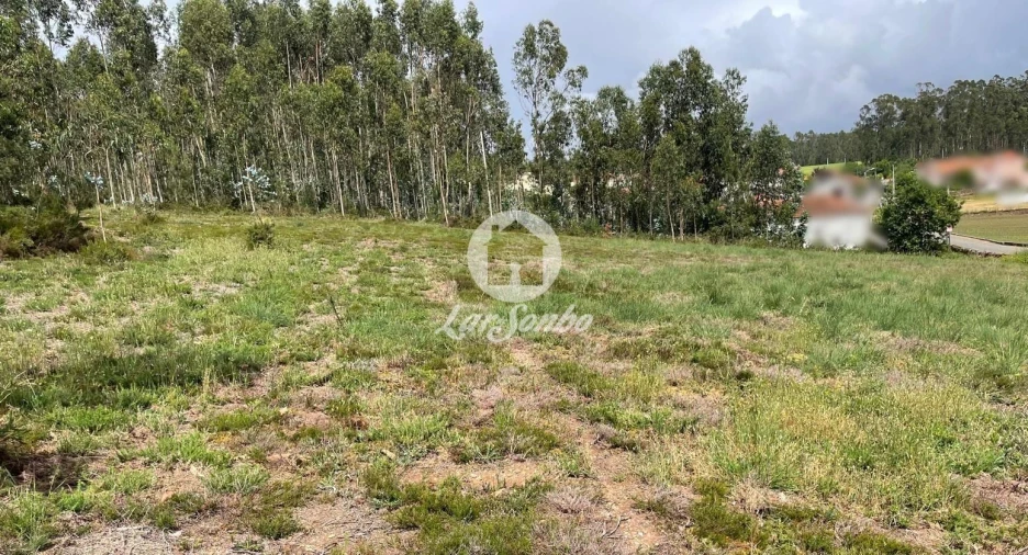 Terreno Agricola ou Rústico para Venda em Balazar Foto 3