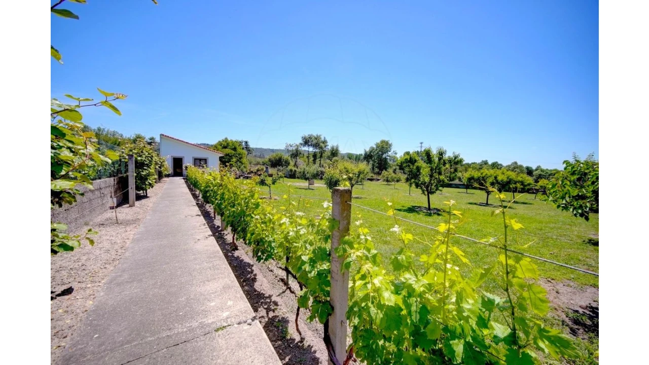 Moradia T4 para Venda em Lama de Arcos Foto 41