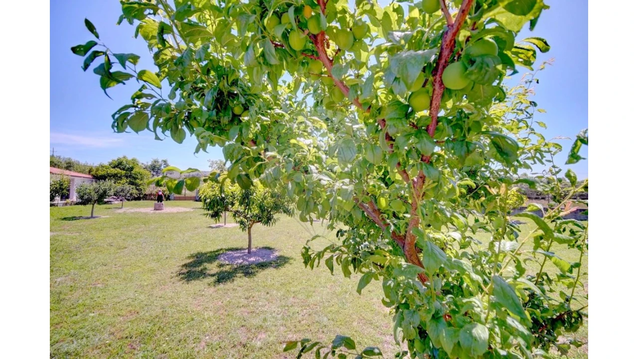 Moradia T4 para Venda em Lama de Arcos Foto 39