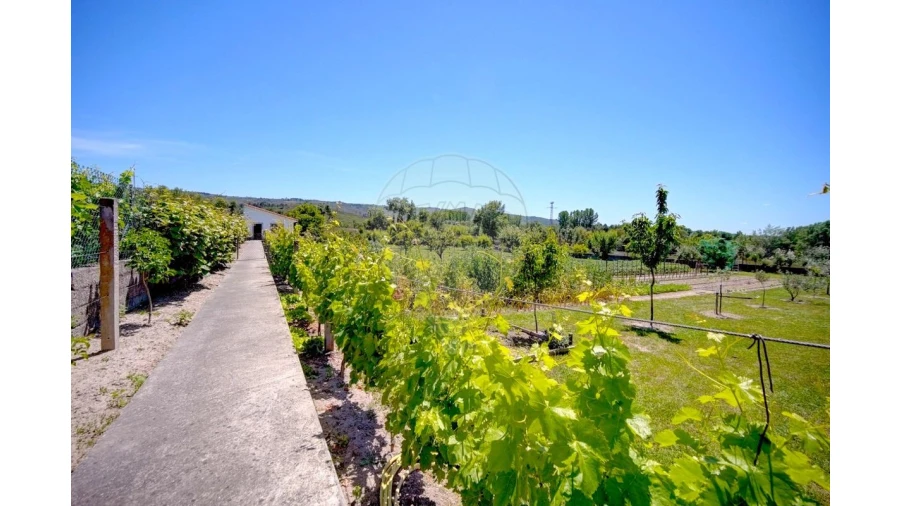 Moradia T4 para Venda em Lama de Arcos Foto 42