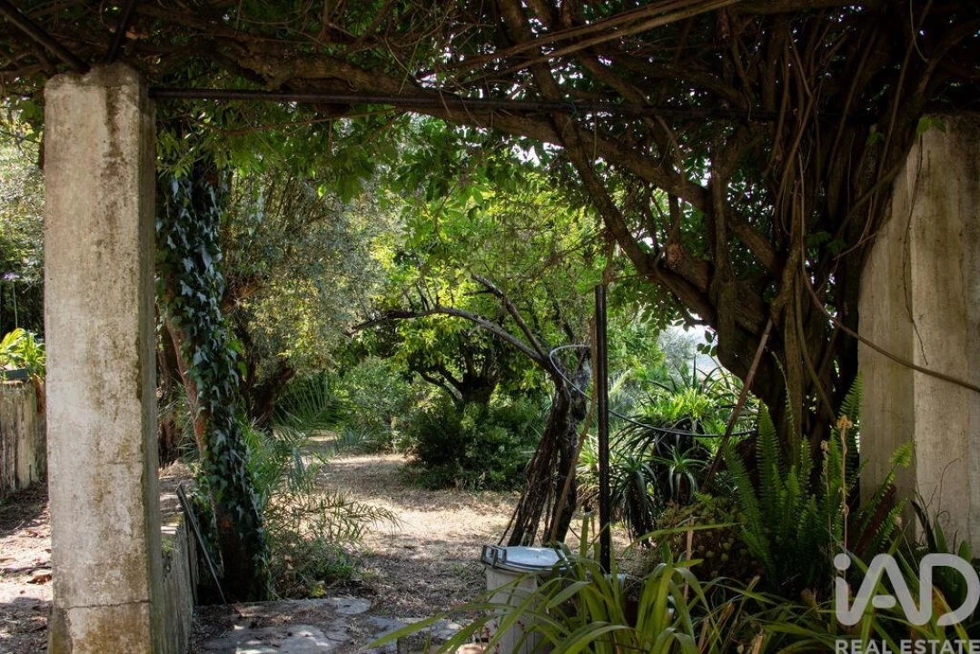 Moradia T5 para Venda em Abrantes (São Vicente e São João) e Alferrarede Foto 23