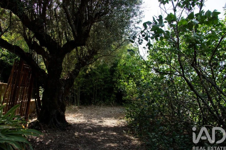 Moradia T5 para Venda em Abrantes (São Vicente e São João) e Alferrarede Foto 24