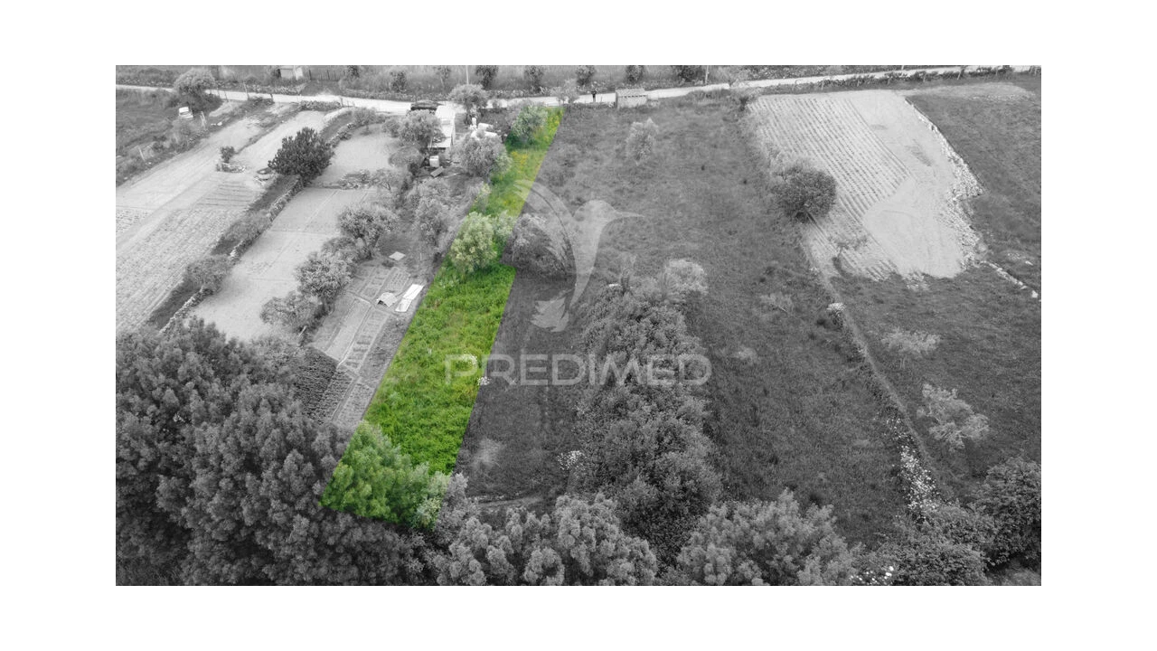 Terreno para Venda em Açores e Velosa Foto 2