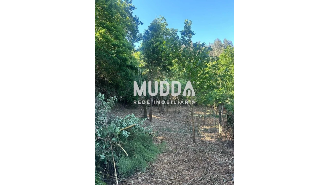 Moradia T2 para Venda em Santa Eulalia Foto 15