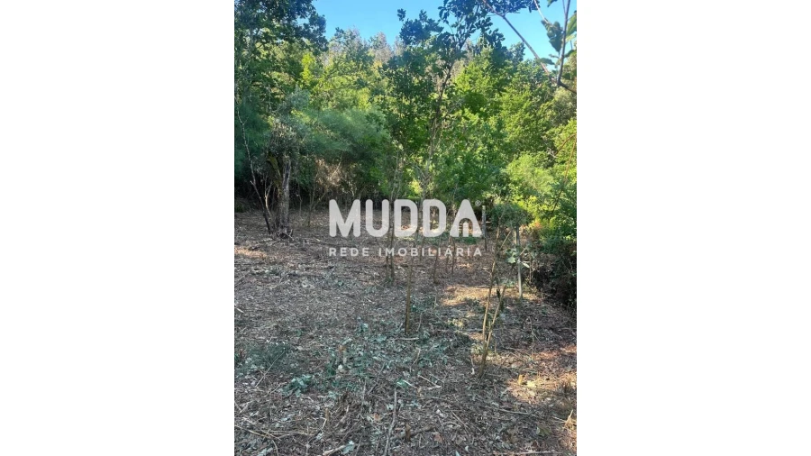 Moradia T2 para Venda em Santa Eulalia Foto 2