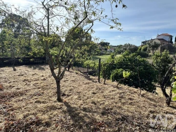 Moradia T8 para Venda em Vila Cortes da Serra