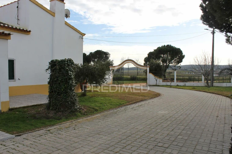 Quinta T8 para Venda em Santo Aleixo Foto 2