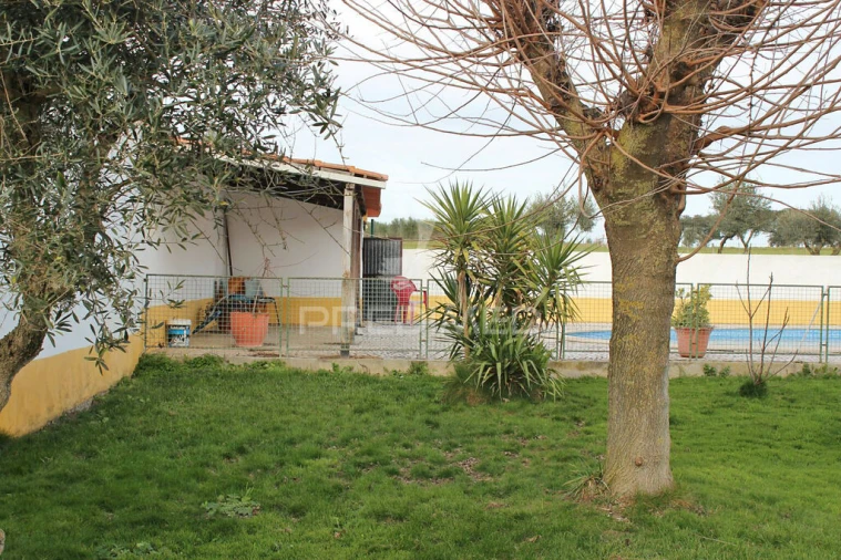 Quinta T8 para Venda em Santo Aleixo Foto 7