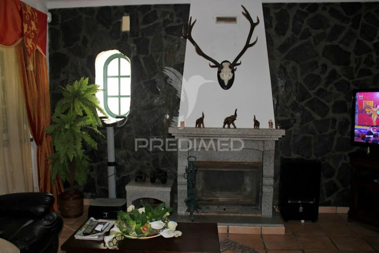 Quinta T8 para Venda em Santo Aleixo Foto 19