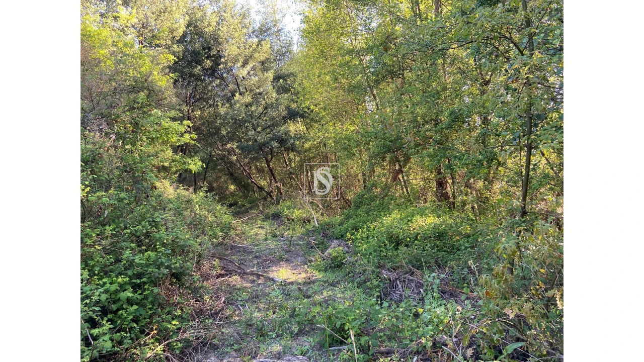 Terreno para Venda em Tonda Foto 8