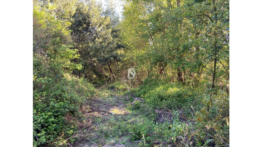 Terreno para Venda em Tonda Foto 8