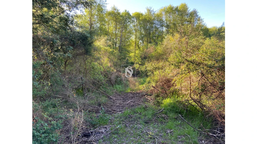 Terreno para Venda em Tonda Foto 16