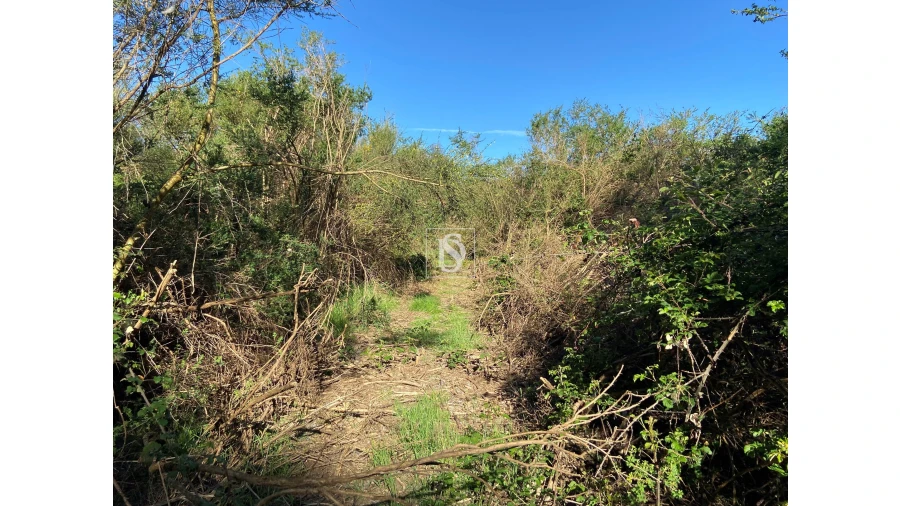 Terreno para Venda em Tonda Foto 10