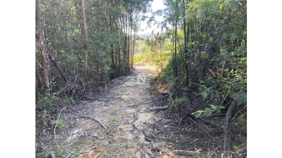 Terreno para Venda em Tonda Foto 5