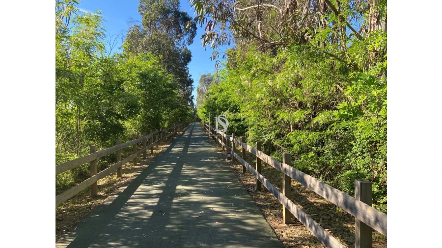 Terreno para Venda em Tonda Foto 2