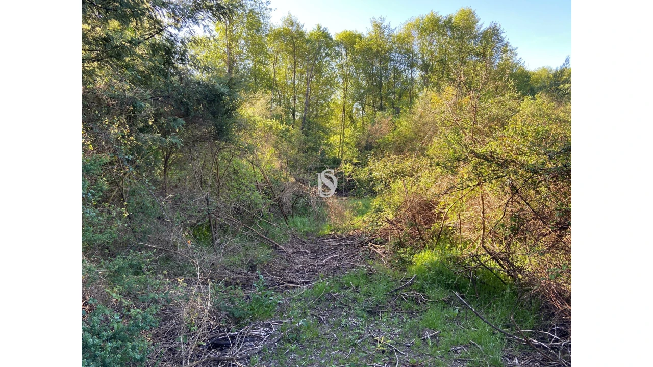 Terreno para Venda em Tonda Foto 16