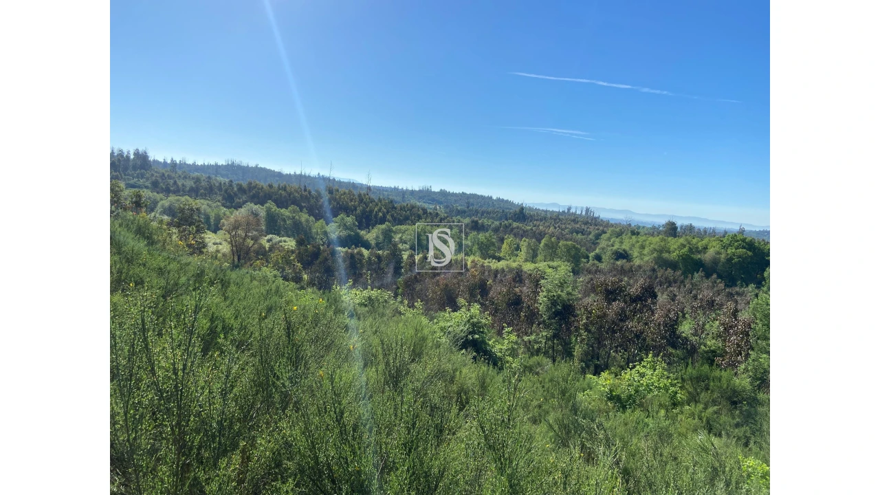 Terreno para Venda em Tonda Foto 1