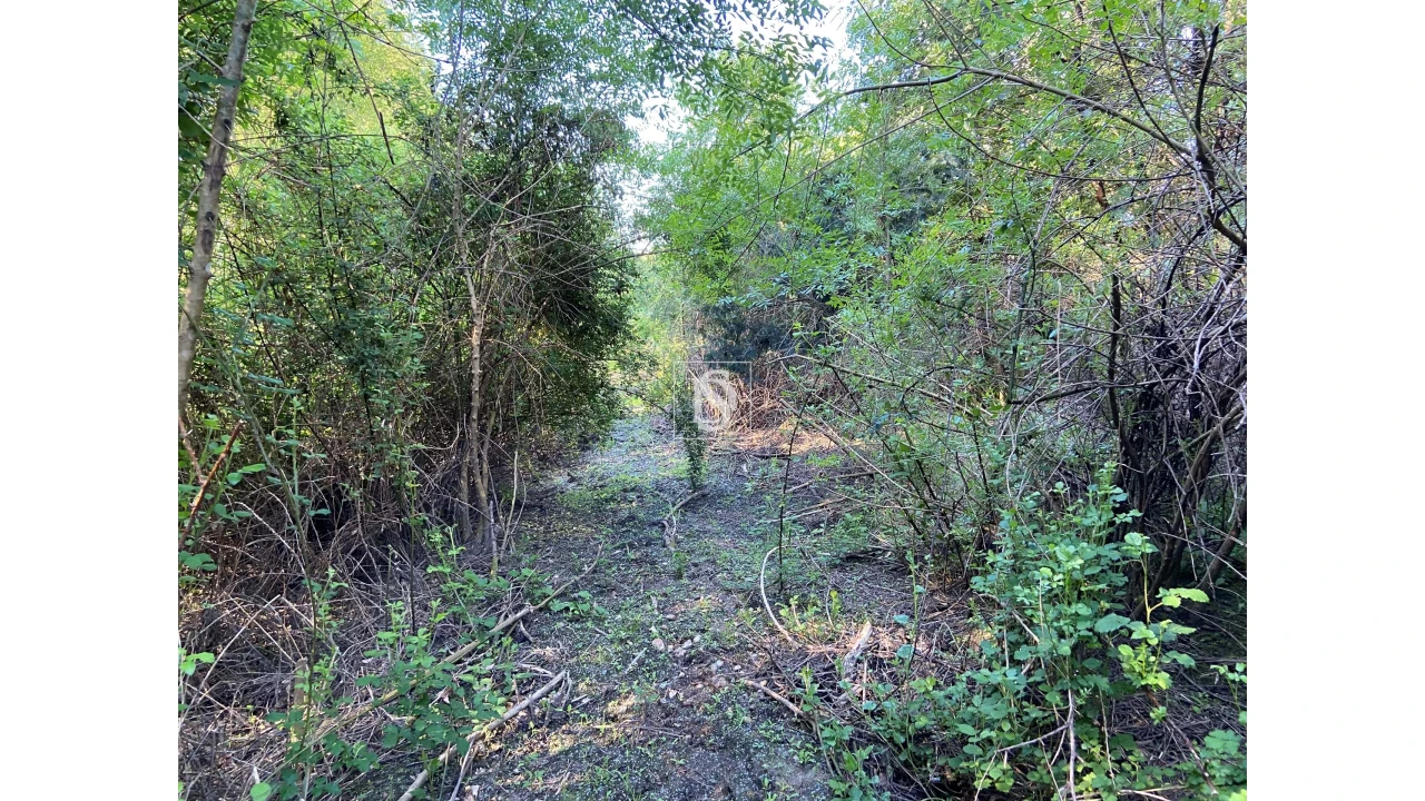 Terreno para Venda em Tonda Foto 9