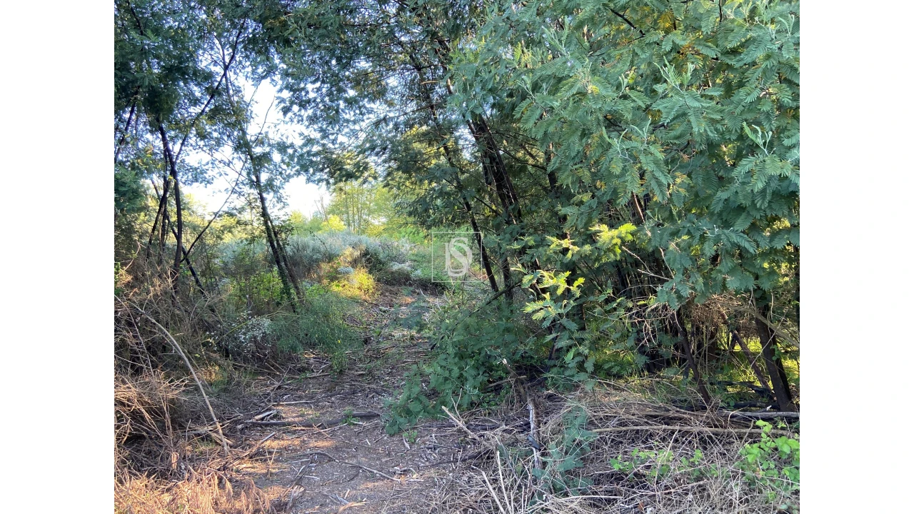 Terreno para Venda em Tonda Foto 15