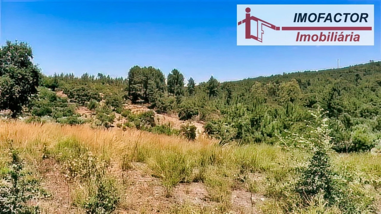 Terreno para Venda em Sarzedas Foto 11