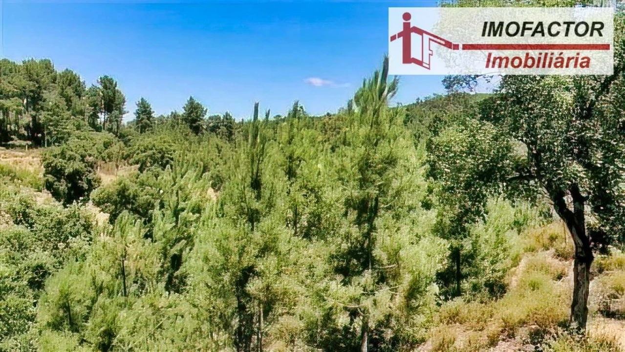 Terreno para Venda em Sarzedas Foto 8