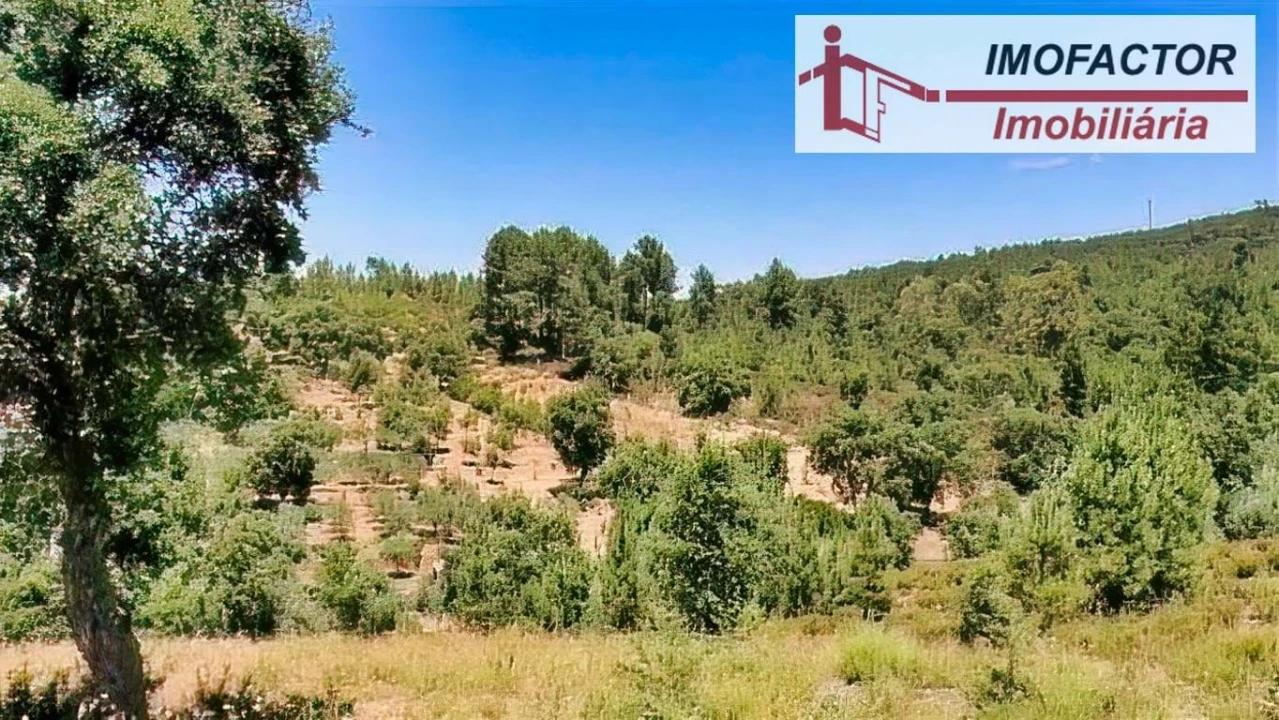 Terreno para Venda em Sarzedas Foto 10