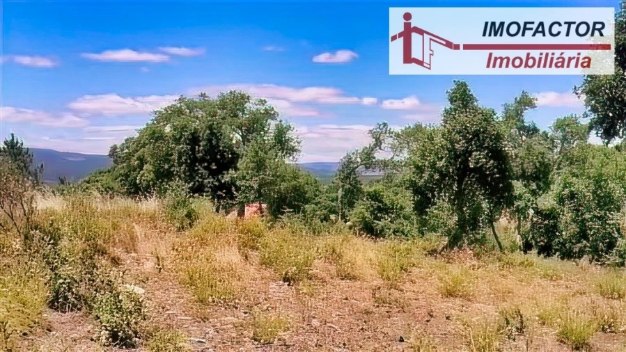 Terreno para Venda em Sarzedas Foto 12