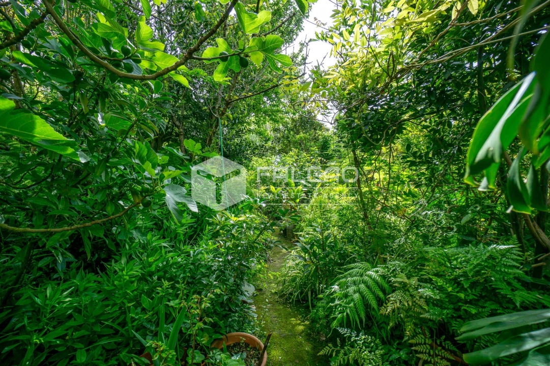 Moradia T7 para Venda em Marvila, Ribeira Santarém, São Salvador, São Nicolau Foto 64