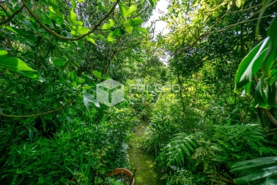Moradia T7 para Venda em Marvila, Ribeira Santarém, São Salvador, São Nicolau