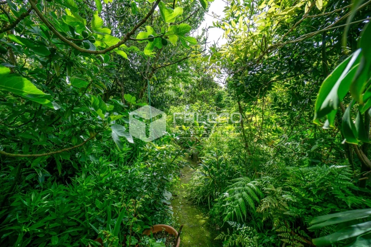 Moradia T7 para Venda em Marvila, Ribeira Santarém, São Salvador, São Nicolau Foto 64